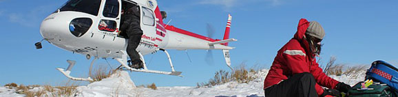 Con el seguro no te la&nbsp;juegues